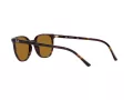 Ray-Ban Elliot Sonnenbrille RB 2197 902/33 52