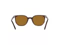 Ray-Ban Elliot Sonnenbrille RB 2197 902/33 52
