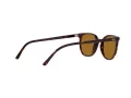 Ray-Ban Elliot Sonnenbrille RB 2197 902/33 52