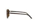 Ray-Ban Bill Sonnenbrille RB 2198 902/57
