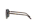 Ray-Ban Bill Sonnenbrille RB 2198 902/R5