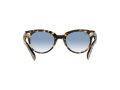 Ray-Ban Orion Sonnenbrille RB 2199 1332/3F