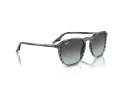 Ray-Ban Sonnenbrille RB 2203 1391GK
