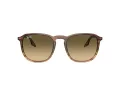 Ray-Ban Sonnenbrille RB 0RB2203 13920A 52
