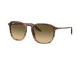 Ray-Ban Sonnenbrille RB 0RB2203 13920A