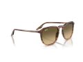 Ray-Ban Sonnenbrille RB 0RB2203 13920A