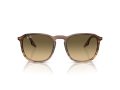 Ray-Ban Sonnenbrille RB 0RB2203 13920A