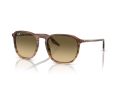 Ray-Ban Sonnenbrille RB 0RB2203 13920A