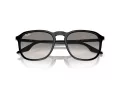 Ray-Ban Sonnenbrille RB 0RB2203 901/32