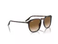 Ray-Ban Sonnenbrille RB 0RB2203 902/51 52