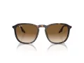 Ray-Ban Sonnenbrille RB 0RB2203 902/51 52