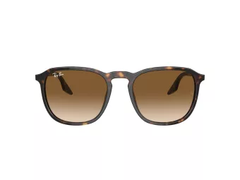 Ray-Ban Sonnenbrille RB 0RB2203 902/51 55