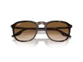 Ray-Ban Sonnenbrille RB 0RB2203 902/51