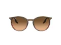 Ray-Ban Sonnenbrille RB 0RB2204 13953B 51
