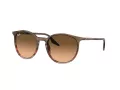Ray-Ban Sonnenbrille RB 0RB2204 13953B 51