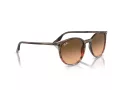 Ray-Ban Sonnenbrille RB 0RB2204 13953B 54