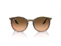 Ray-Ban Sonnenbrille RB 0RB2204 13953B 54