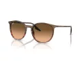 Ray-Ban Sonnenbrille RB 0RB2204 13953B 54