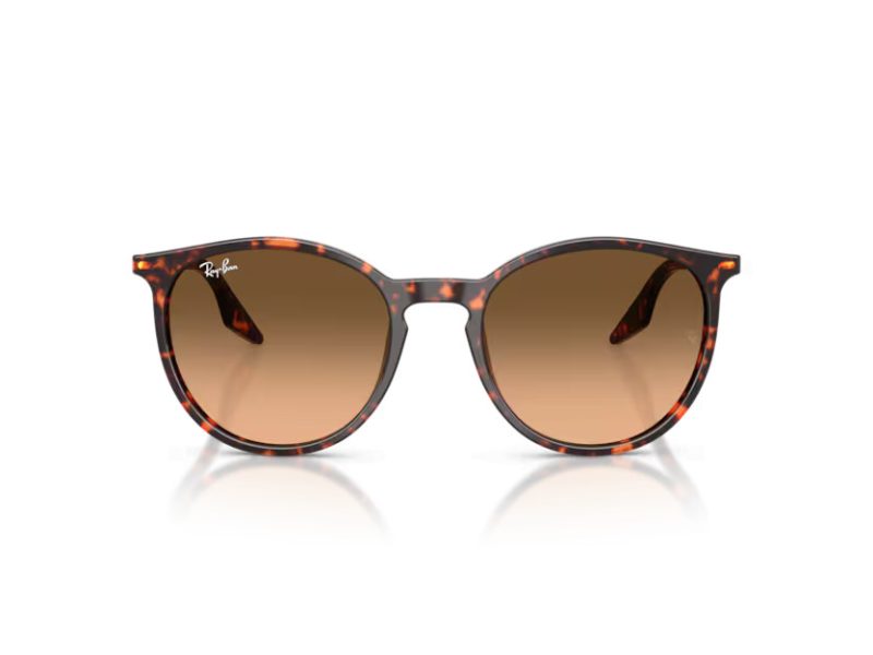 Ray-Ban Sonnenbrille RB 2204 14293B