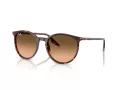 Ray-Ban Sonnenbrille RB 2204 14293B 54