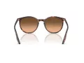 Ray-Ban Sonnenbrille RB 2204 14293B 54