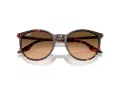 Ray-Ban Sonnenbrille RB 2204 14293B 54