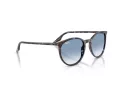 Ray-Ban Sonnenbrille RB 2204 14303F 54