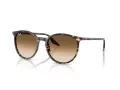 Ray-Ban Sonnenbrille RB 2204 143151 51