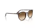 Ray-Ban Sonnenbrille RB 2204 143151 51
