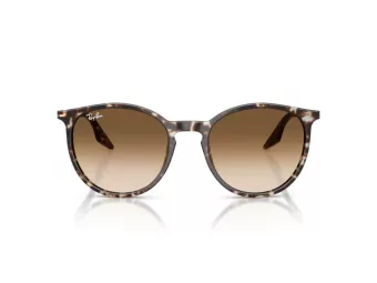 Ray-Ban Sonnenbrille RB 2204 143151 54