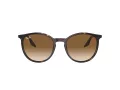 Ray-Ban Sonnenbrille RB 0RB2204 902/51 54