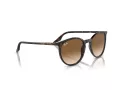 Ray-Ban Sonnenbrille RB 0RB2204 902/51 54