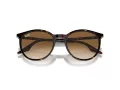Ray-Ban Sonnenbrille RB 0RB2204 902/51 54