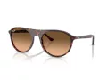 Ray-Ban Sonnenbrille RB 2215 14293B 59