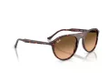 Ray-Ban Sonnenbrille RB 2215 14293B 59