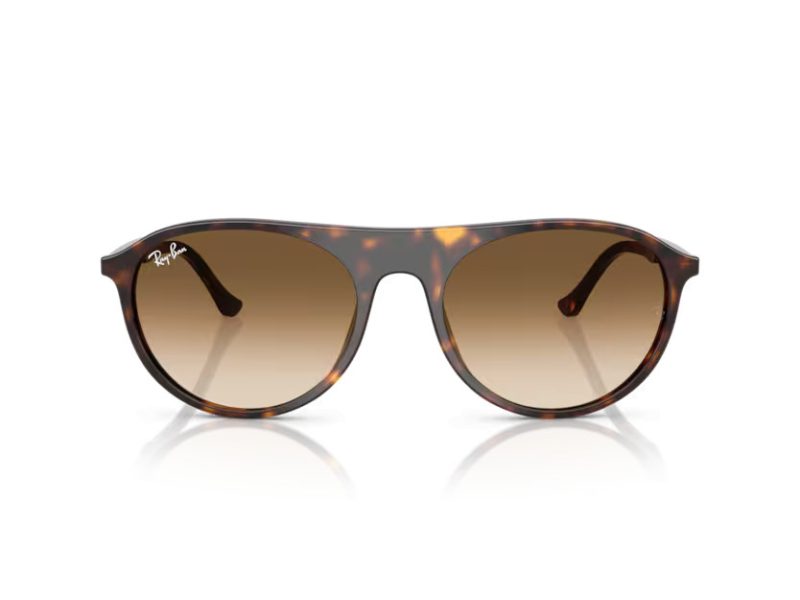 Ray-Ban Sonnenbrille RB 2215 902/51