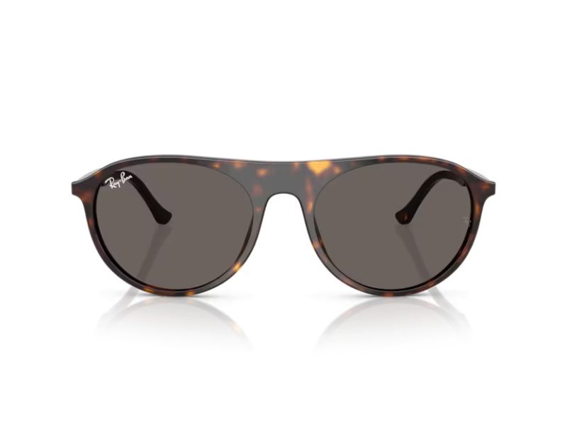 Ray-Ban Sonnenbrille RB 2215 902/B1