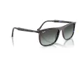 Ray-Ban Sonnenbrille RB 2216 1430GK