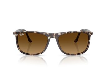 Ray-Ban Sonnenbrille RB 2216 143185