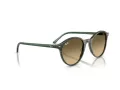 Ray-Ban Bernard Sonnenbrille RB 2230 14210A 51