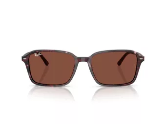 Ray-Ban Raimond Sonnenbrille RB 2231 1416C5 56