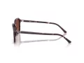 Ray-Ban Raimond Sonnenbrille RB 2231 1416C5 56