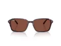 Ray-Ban Raimond Sonnenbrille RB 2231 1416C5 58