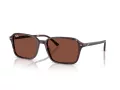 Ray-Ban Raimond Sonnenbrille RB 2231 1416C5 58