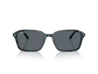 Ray-Ban Raimond Sonnenbrille RB 2231 1417R5