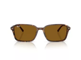 Ray-Ban Raimond Sonnenbrille RB 2231 141833 56