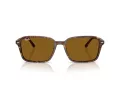 Ray-Ban Raimond Sonnenbrille RB 2231 141833 58