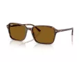 Ray-Ban Raimond Sonnenbrille RB 2231 141833 58