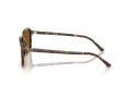 Ray-Ban Raimond Sonnenbrille RB 2231 141833 58