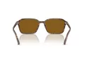 Ray-Ban Raimond Sonnenbrille RB 2231 141833 58